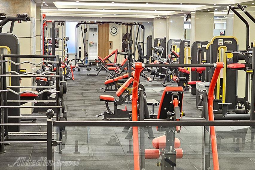 هتل نگارستان کاشان | علاالدین تراول