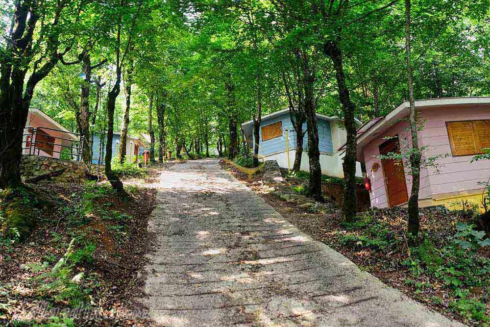 کلبه هتل 4 ستاره بام سبز رامسر | علاءالدین تراول