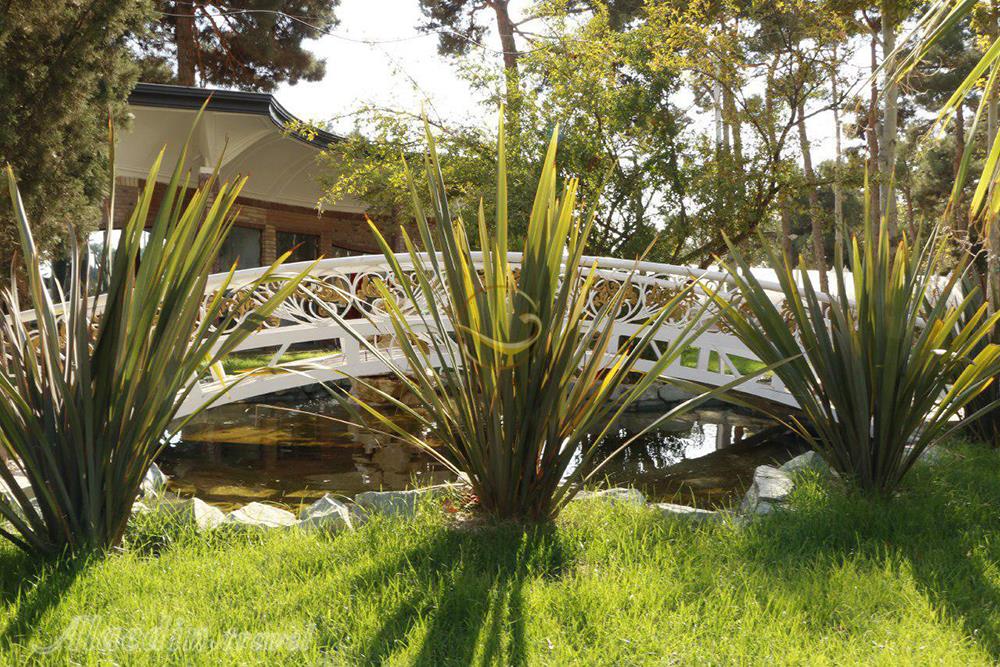 هتل بلوط تهران | علاءالدین تراول