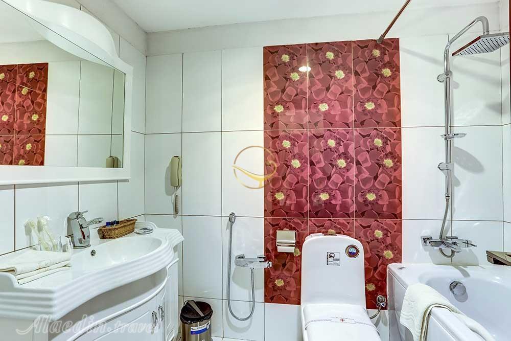 سرویس بهداشتی هتل 4 ستاره ارگ جدید یزد | علاءالدین تراول