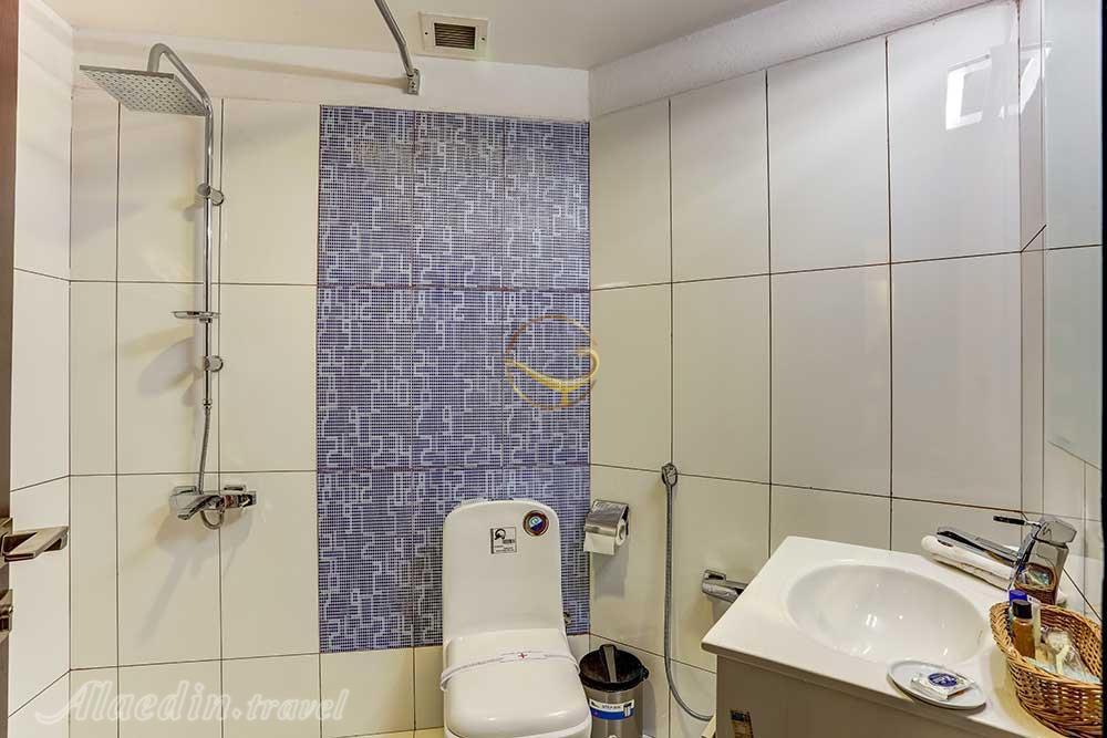 سرویس بهداشتی هتل 4 ستاره ارگ جدید یزد | علاءالدین تراول