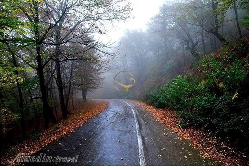 جنگل الیمستان آمل | علاءالدین تراول