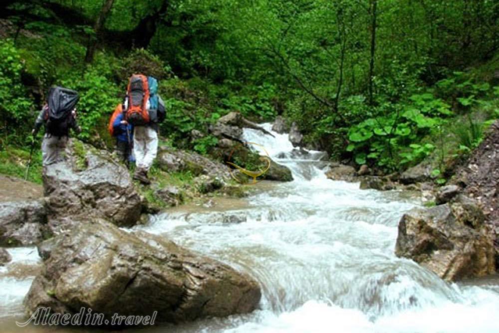 جنگل الیمستان آمل | علاءالدین تراول