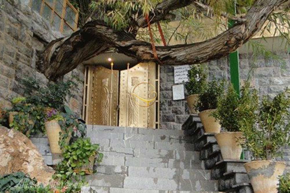 پیر سبز چک چک اردکان | علاءالدین تراول