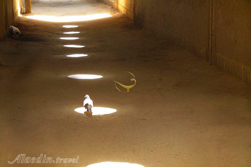 کوچه ضیایی اردکان | علاءالدین تراول