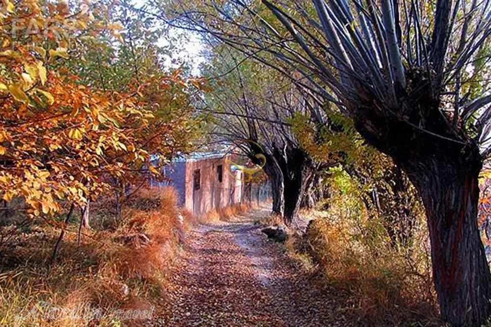 چشمه نگار من در بسطام | علاءالدین تراول