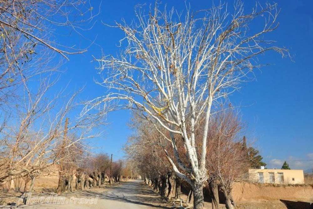 روستای باغستان عليا فردوس | علاءالدین تراول