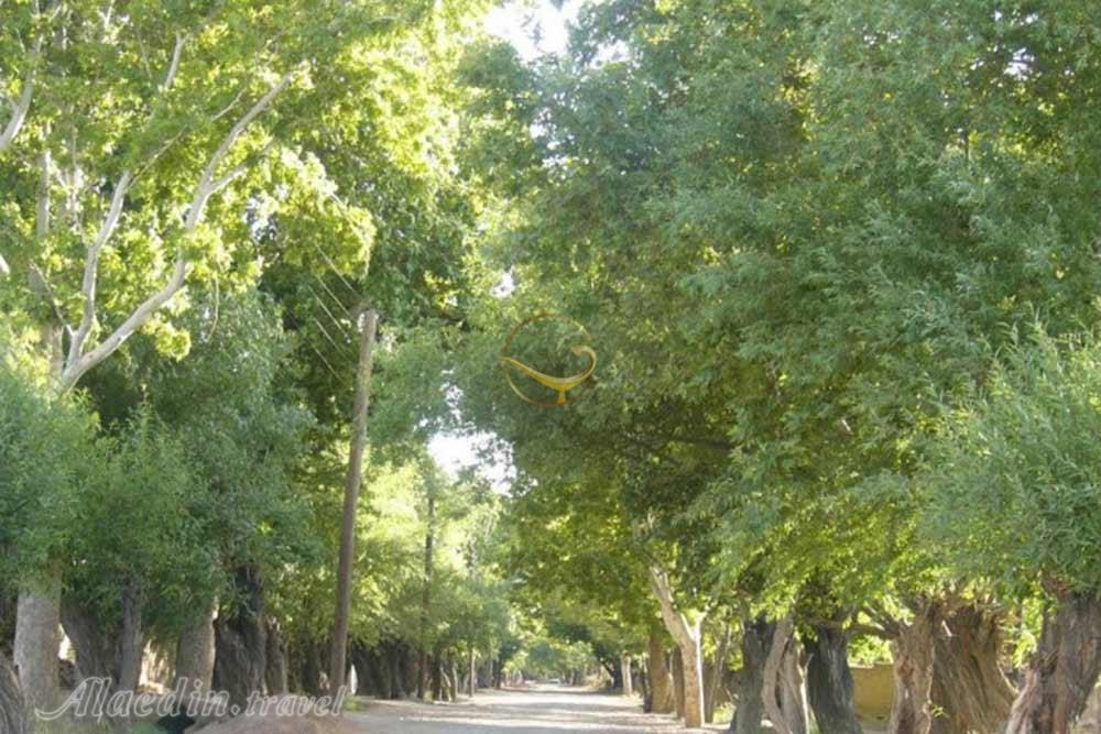 روستای باغستان عليا فردوس | علاءالدین تراول