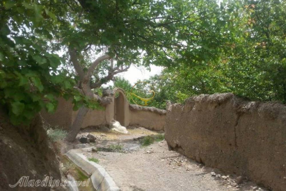 روستای بیدسکان فردوس | علاءالدین تراول