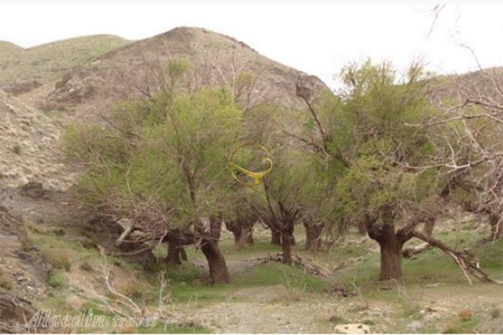 روستای مهوید فردوس | علاءالدین تراول