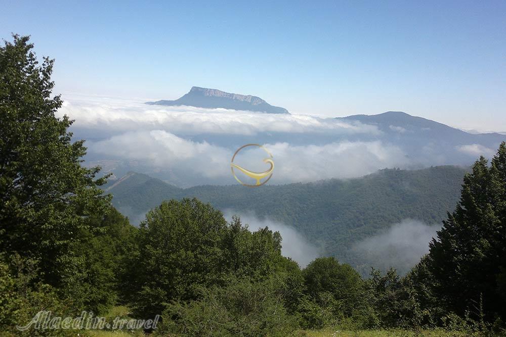 جنگل فینسک مهدیشهر | علاءالدین تراول