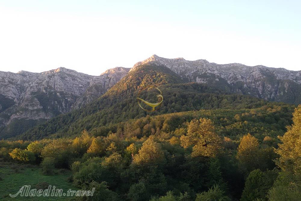 جنگل فینسک مهدیشهر | علاءالدین تراول