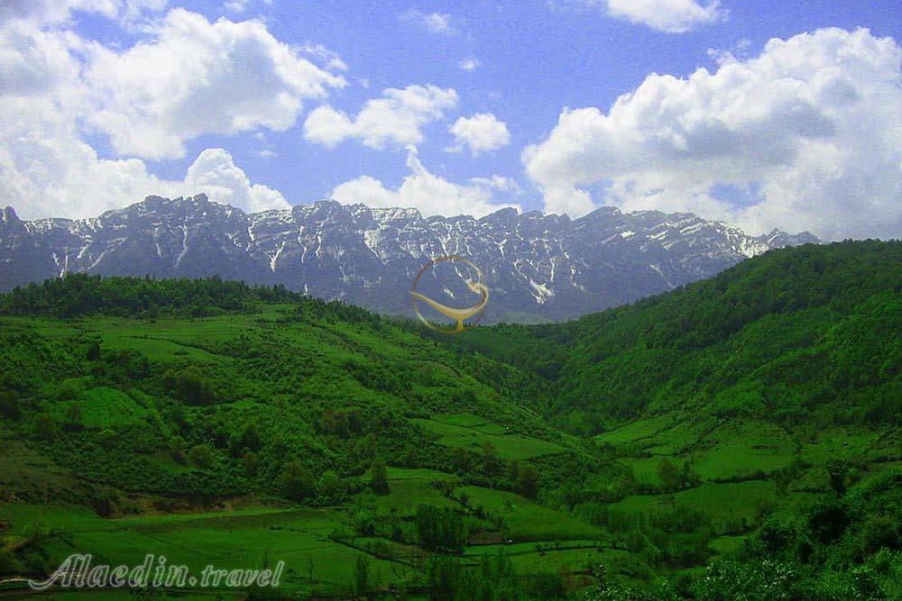 جنگل فینسک مهدیشهر | علاءالدین تراول