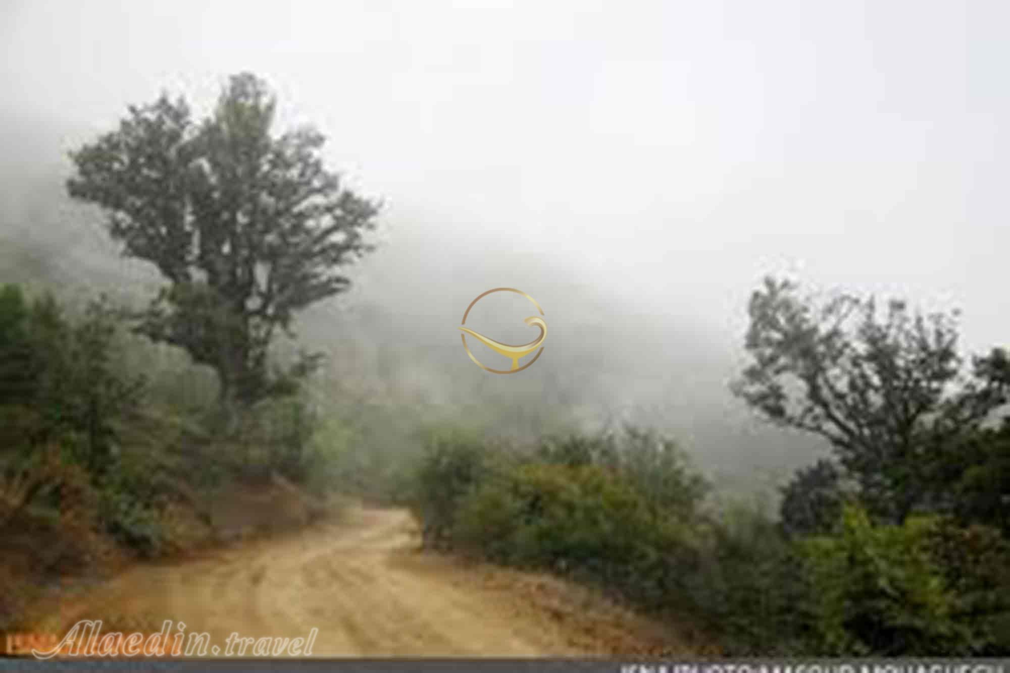 منطقه رودبارک در مهدیشهر | علاءالدین تراول