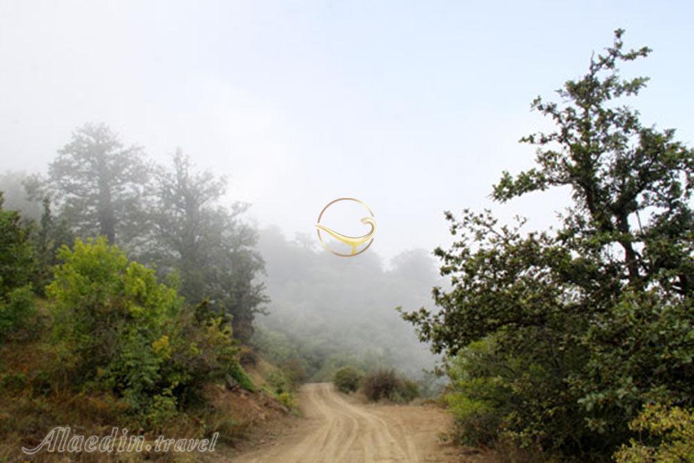 جنگل رودبارک مهدیشهر | علاءالدین تراول