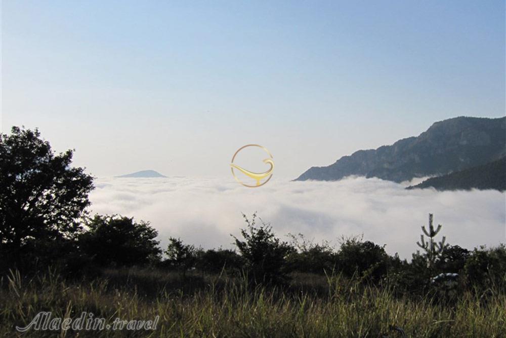 جنگل رودبارک مهدیشهر | علاءالدین تراول