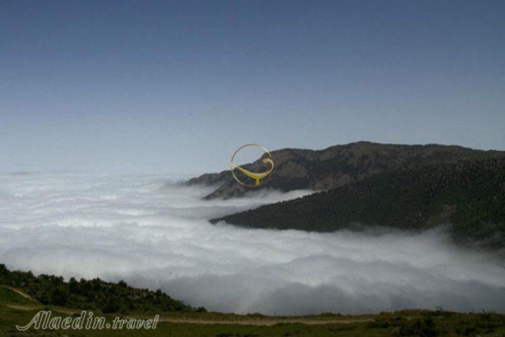 جنگل رودبارک مهدیشهر | علاءالدین تراول