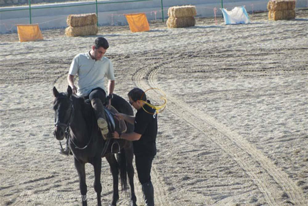 باشگاه سوارکاری ایل سنگسر مهدیشهر | علاءالدین تراول