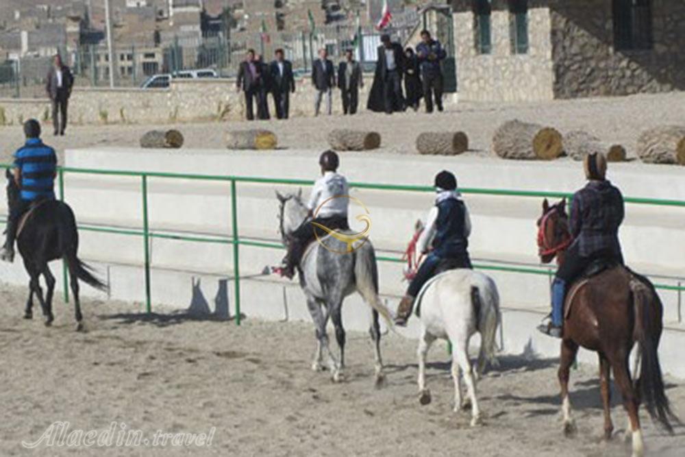 باشگاه سوارکاری ایل سنگسر مهدیشهر | علاءالدین تراول