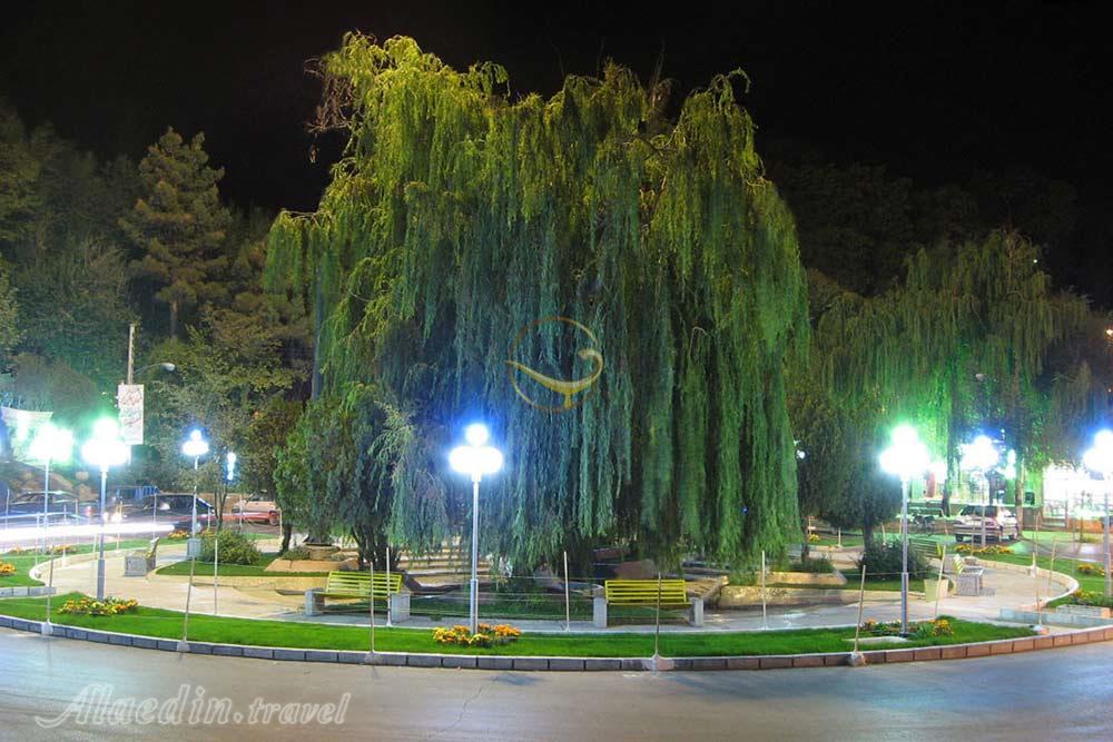 شهر شهمیرزاد در مهدیشهر | علاءالدین تراول