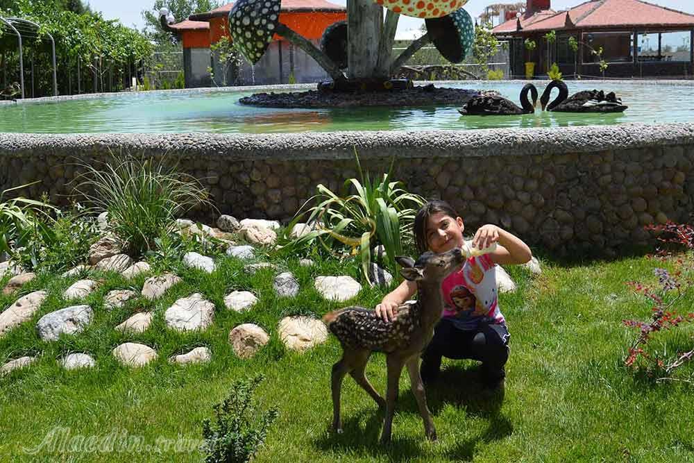 باغ آهو سریزد در مهریز | علاءالدین تراول