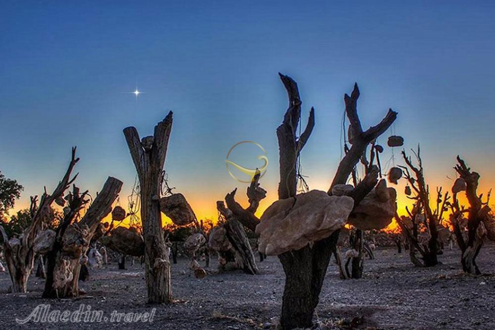 باغ سنگی سیرجان | علاءالدین تراول