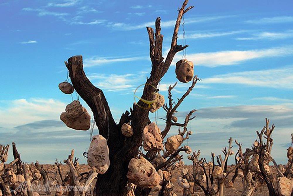 باغ سنگی سیرجان | علاءالدین تراول