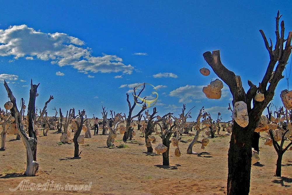 باغ سنگی سیرجان | علاءالدین تراول