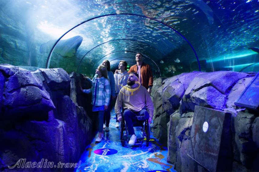 آکواریوم SEA LIFE سیدنی | علاالدین تراول