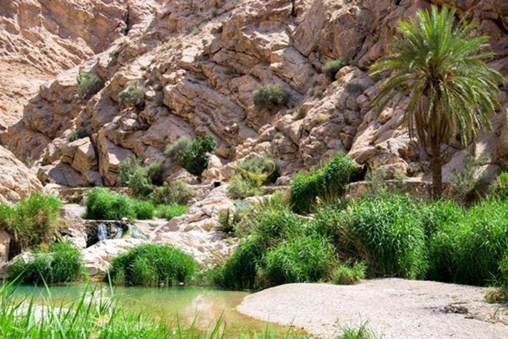 روستای ازمیغان طبس | علاءالدین تراول