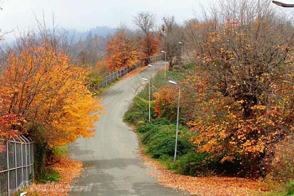 پارک جنگلی سیاه داران تالش | علاءالدین تراول