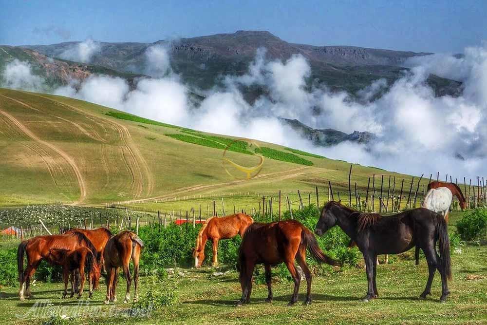 منطقه ییلاقی سوباتان در تالش | علاءالدین تراول