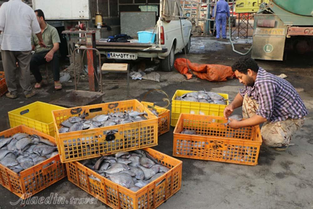 بازار ماهی آبادان | علاءالدین تراول