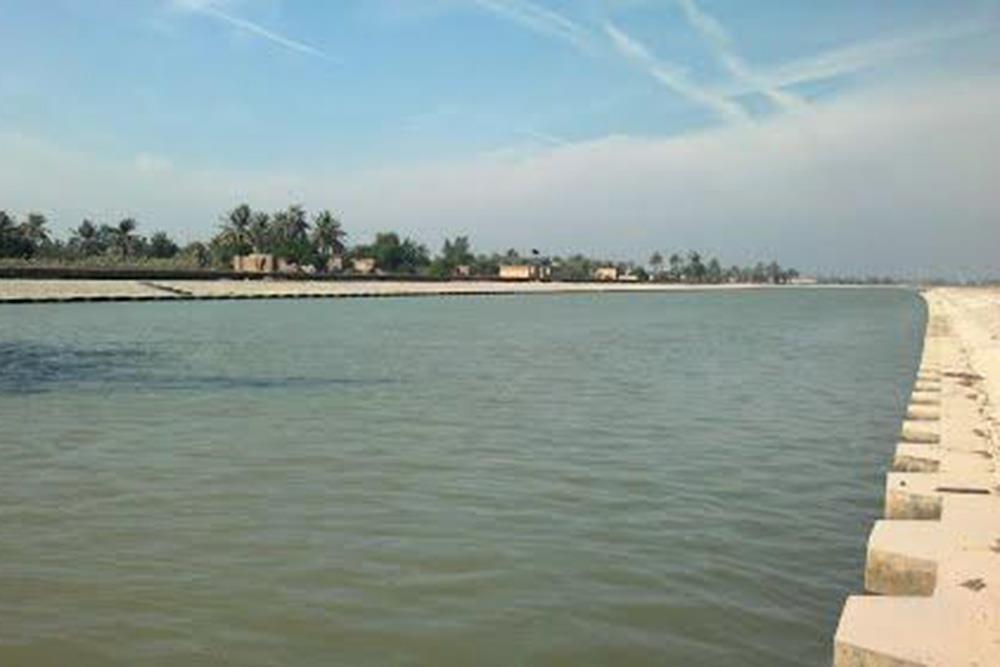 جزیره مینو در آبادان | علاءالدین تراول