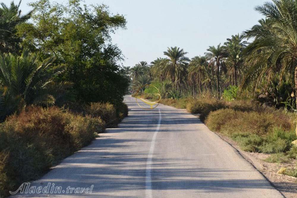 روستای شلحه امام حسن عسگری در آبادان | علاءالدین تراول