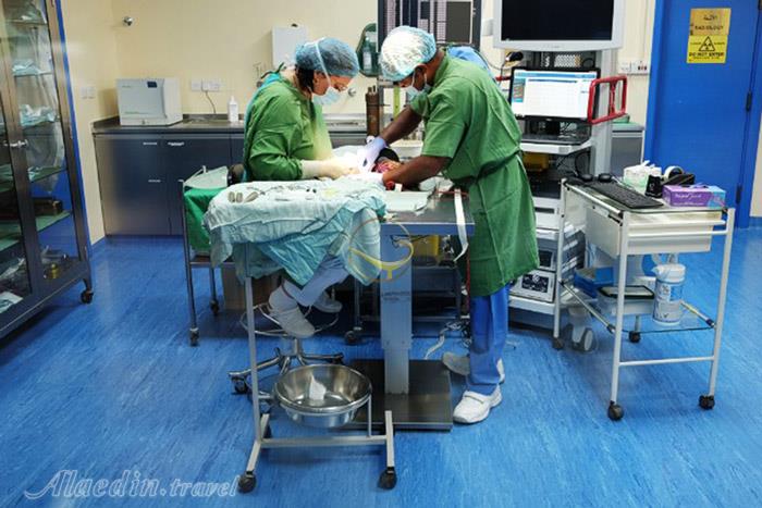 بیمارستان شاهین ها ابوظبی - امارات متحده عربی