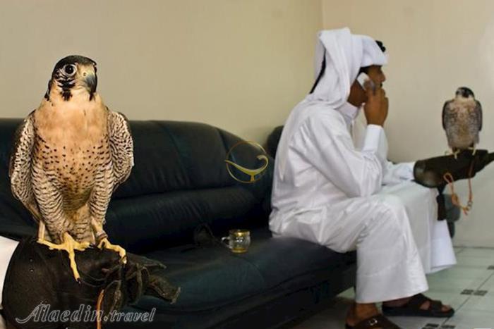 بیمارستان شاهین ها ابوظبی - امارات متحده عربی