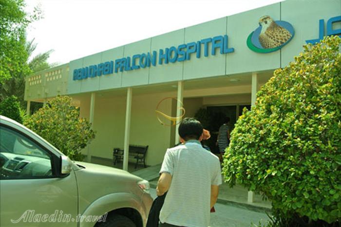 بیمارستان شاهین ها ابوظبی - امارات متحده عربی