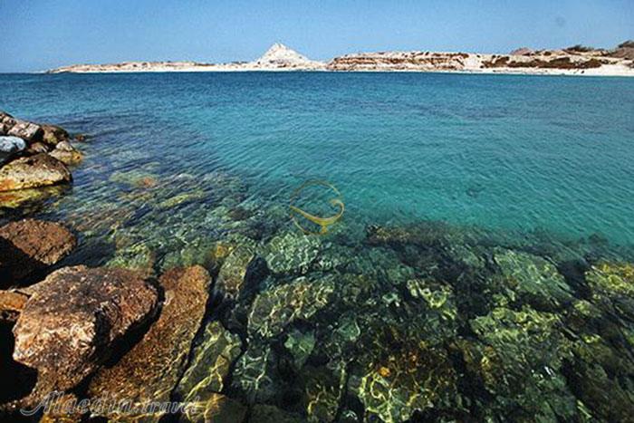 ساحل ابوموسی