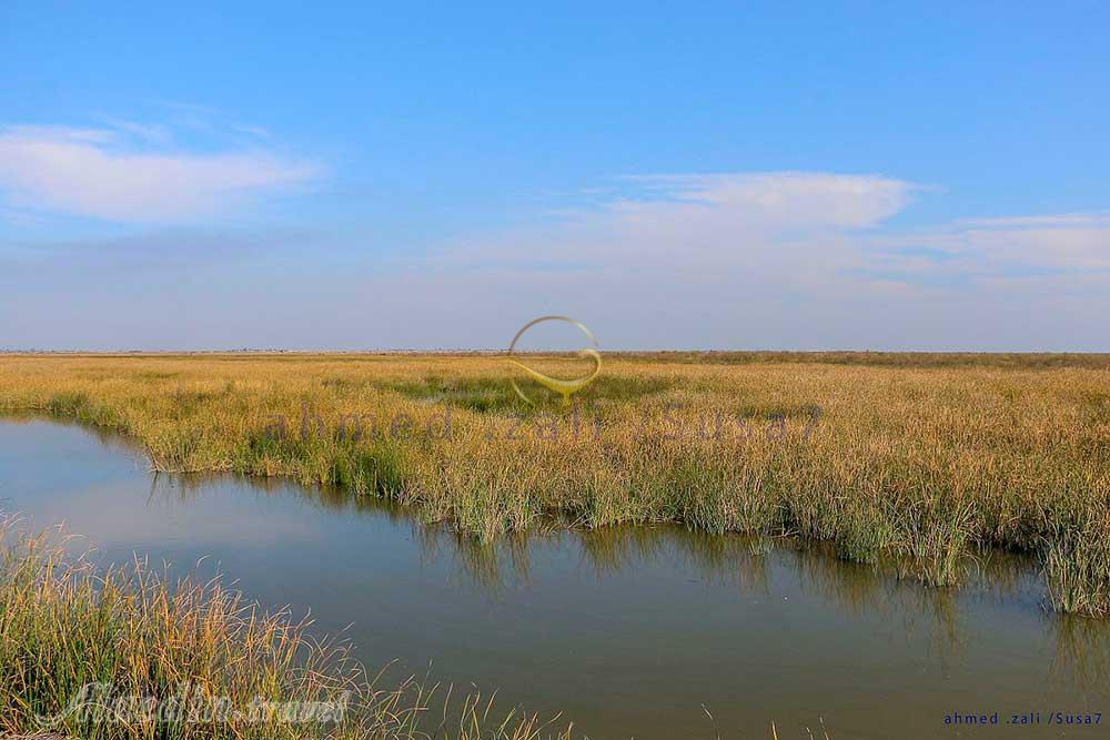 تالاب بامدژ اهواز | علاءالدین تراول