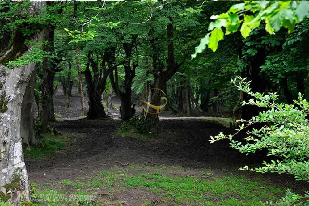 آبشار بلیران آمل | علاءالدین تراول