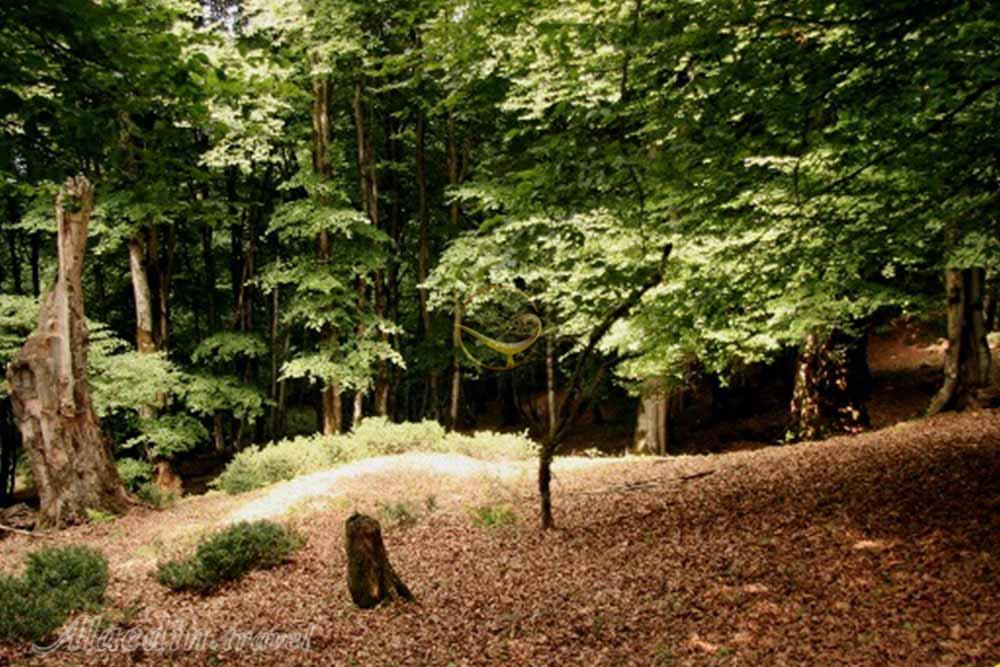 آبشار بلیران آمل | علاءالدین تراول