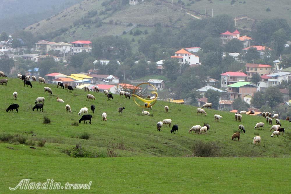 روستای سنگچال آمل | علاءالدین تراول