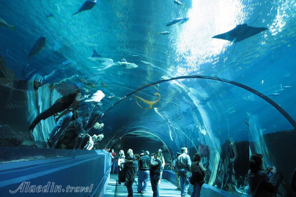 آکواریوم آکوا وگا آنکارا - ترکیه | علاءالدین تراول