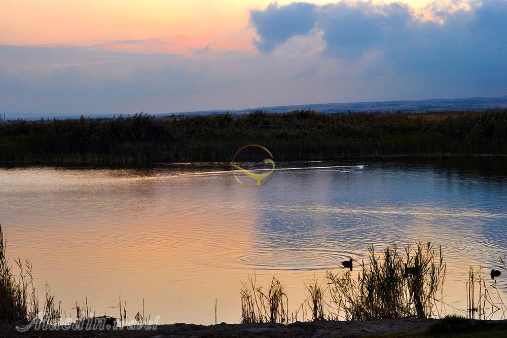 دریاچه موگان آنکارا - ترکیه | علاءالدین تراول