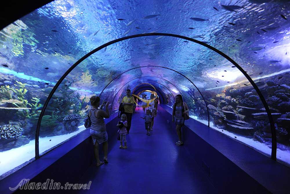 آکواریوم آنتالیا در ترکیه | علاءالدین تراول