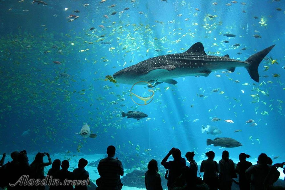 آکواریوم آنتالیا در ترکیه | علاءالدین تراول