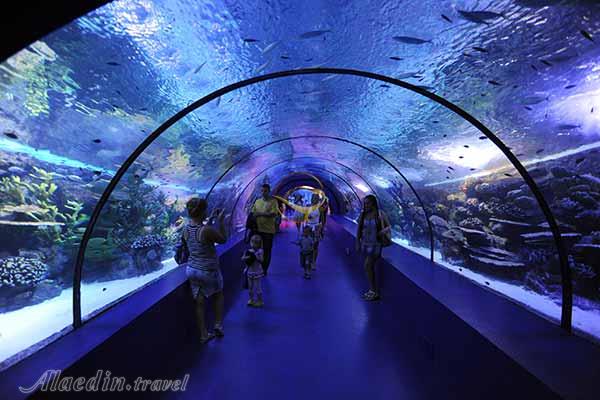 آکواریوم آنتالیا - ترکیه