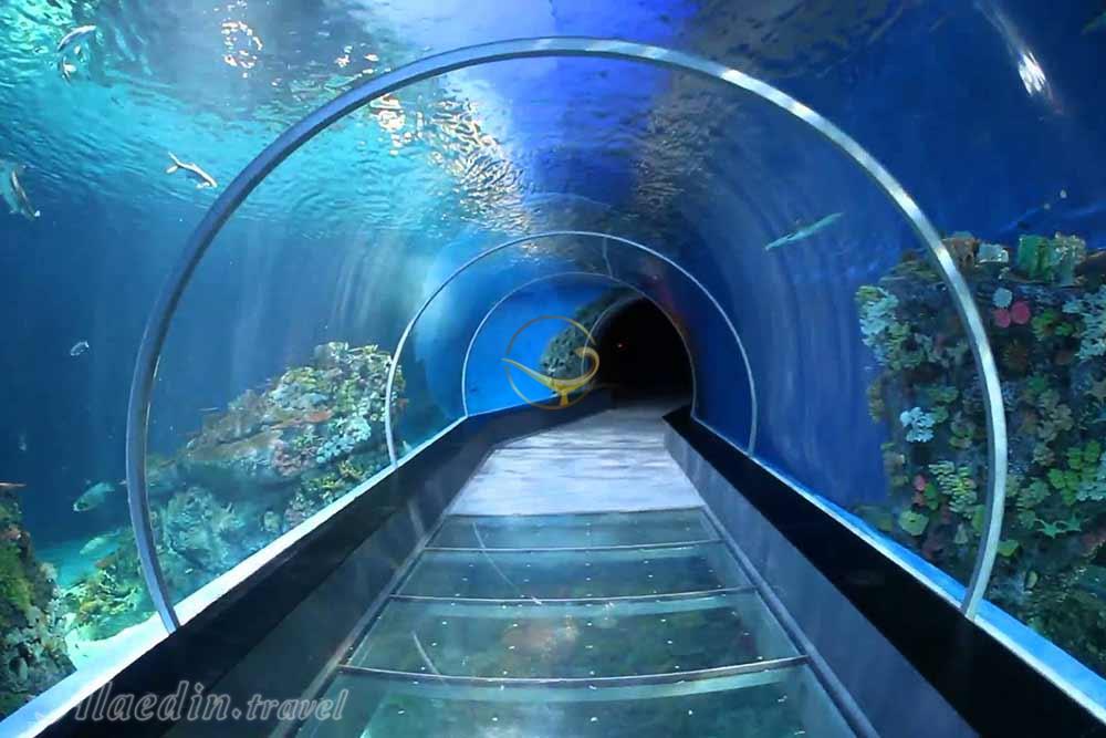 آکواریوم انزلی بندر انزلی | علاءالدین تراول