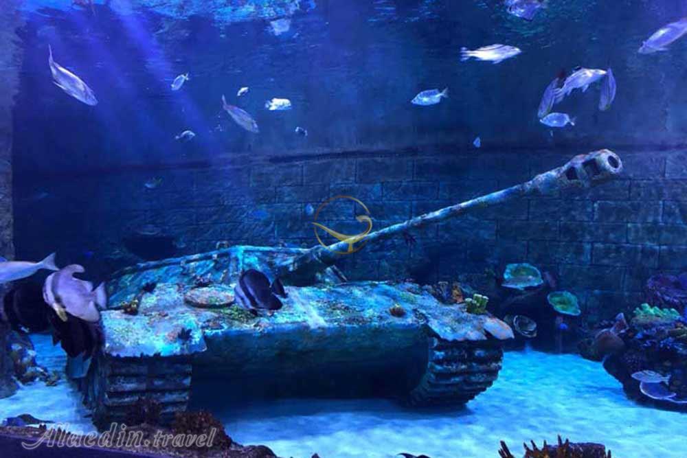 آکواریوم انزلی بندر انزلی | علاءالدین تراول